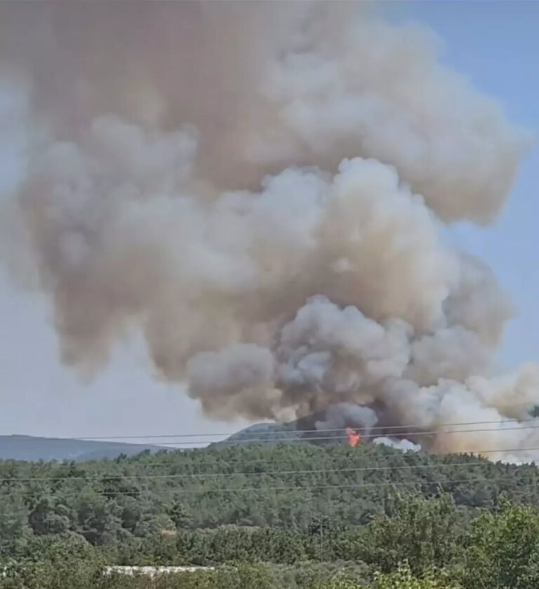 izmirde-orman-yangini-OpuWhTUz.jpg